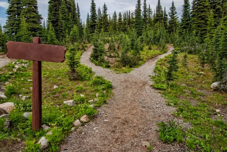 Explore a forked trail in Manning Park, BC amidst lush greenery and conifer trees. Perfect for nature walk - depicting a choice between short and long-term therapy